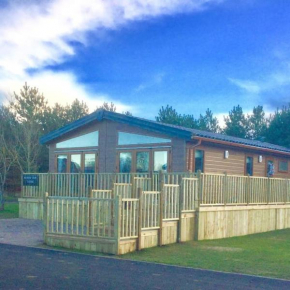 Luxury Forest View Lodge with private Hot Tub